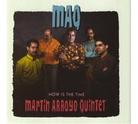 Arroyo, Martin - Now Is the Time