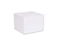 ARSPEDIZIONI Caja térmica de poliestireno iBox para alimentos y bebidas - Calentador y enfriador de poliestireno (19,6 x 19,6 x 12,5 cm, 3,20 L, reutilizable)