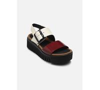 Art Brighton 1578 36 Multicolor