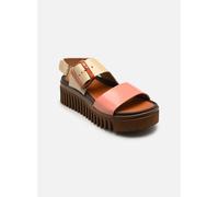 Art Brighton 1578 38 Multicolor