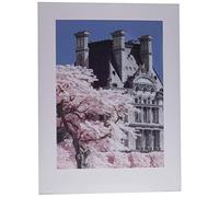 Art Group David Clapp (Jardin de Tuilieres Infrared, París) -Impresión artística (60 x 80 cm), Papel, Multicolor, 60 x 80 x 1.3 cm
