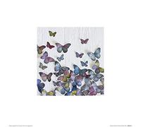 Art Group Howard Shooter-Impresión artística (30 x 30 cm), diseño de Mariposa al Azar, Papel, Multicolor, 30 x 30 x 1.3 cm