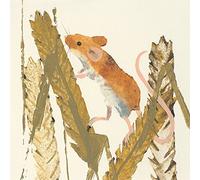 Art Group Impresión sobre Lienzo de The Julia Burns Harvest Mouse de algodón, Multicolor, 30 x 30 x 1,3 cm