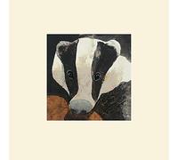 Art Group Julia Burns (Badger) -Impresión montada 30 x 30 cm, Papel, Multicolor, 30 x 30 x 1.3 cm