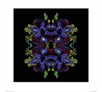 Art Group The Alyson Fennell (Flora Shangri La) - Impresión artística (60 x 60 cm, Papel, Multicolor, 60 x 60 x 1,3 cm)