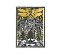 Art Group The Amanda Colville (libélula y Dientes de león) - Impresión artística 30 x 40 cm, Papel, Multicolor, 30 x 40 x 1,3 cm