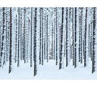 Art Group The Frosted Trees, Finlandia Lienzo Impreso, Multicolor, 0,96 x 60 x 3 cm