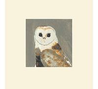 Art Group The Julia Burns (Barn Owl) - Impresión montada 30 x 30 cm, Papel, Multicolor, 30 x 30 x 1,3 cm
