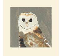 Art Group The Julia Burns (Barn Owl) - Impresión montada 40 x 40 cm, Papel, Multicolor, 40 x 40 x 1,3 cm