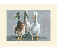 Art Group The Louise Brown (The Three Amigos) - Impresión montada 30 x 40 cm, Papel, Multicolor, 30 x 40 x 1,3 cm