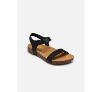 Art I Breathe 1119 38 Negro