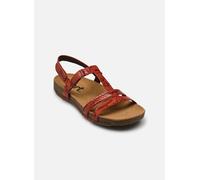 Art I Breathe 946 36 Rojo