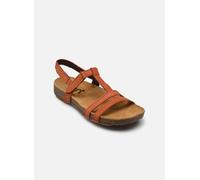 Art I Breathe 946 39 Naranja
