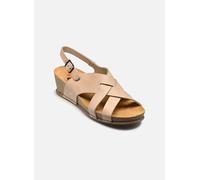 Art I LIVE 1934 36 Beige