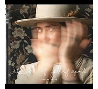 Art Of Falling Apart