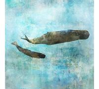 ART-PRINT-on-matte-paper-220gr- Ocean Whale 2 Roko Ken - Animales Cuadrado Imagen Ballena Fine Art Print 25_X_25_in