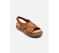 Art RHODES 1710S 39 Marrón