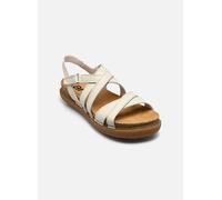 Art RHODES 1714 38 Blanco