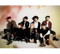 Art Rompecabezas - Korean Boyband Bang BT S Póster - Juguetes para Aliviar El Estrés para Adultos - Juego De Memorias para The Elderly - Decoración del Dormitorio - 1000 Piezas Rompecabezas - Sk493Zp