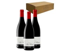Artazu Pasos de San Martín - Ideal para Maridar con Carne y Comida Mediterránea - Pack 3 Botellas 75cl