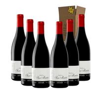 Artazu Pasos de San Martín - Ideal para Maridar con Carne y Comida Mediterránea - Pack 6 Botellas 75cl