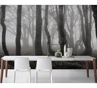 Arte Abstracto Árbol Muerto Blanco Y Negro Bosque Niebla 3D Papel Pintado Pared Fácil Instalación Oficina Sala Estar Sofá Dormitorio TV Fondos Decoración-400cm×280cm