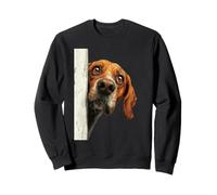 Arte Curioso de Perro de Sabueso Que mira Sudadera
