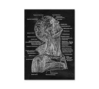 Arte de anatomía, corazón humano, esqueleto Vertebral, cuadro sobre lienzo for pared, impresión nórdica y póster, imagen for decoración Doctor oficina(202105NQ746D,50x70cm No Frame)