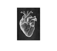 Arte de anatomía humana clínica médica cuadro pared esqueleto órgano músculo sistema lienzo impresiones cuerpo educación carteles(YP284,30X45cm no frame)