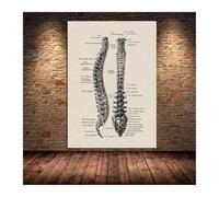 Arte de anatomía humana cuadro pared médica esqueleto muscular póster Vintage pintura lona nórdica impresión educación decoración del hogar(2,20X30cm Unframed)
