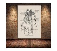 Arte de anatomía humana cuadro pared médica esqueleto muscular póster Vintage pintura lona nórdica impresión educación decoración del hogar(4,50X70cm Unframed)