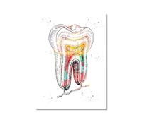 Arte de anatomía humana, cuadro pared médica, póster Vintage esqueleto muscular, lienzo nórdico, pintura educativa, decoración moderna(XQ364,40x50cm No Frame)