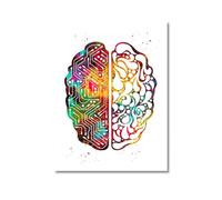 Arte de anatomía humana, cuadro pared médica, póster Vintage esqueleto muscular, lienzo nórdico, pintura educativa, decoración moderna(XQ356,50X80cm No Frame)