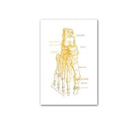 Arte de anatomía humana, cuadro pared médica, póster Vintage esqueleto muscular, lienzo nórdico, pintura educativa, decoración moderna(3,21X30cm unframed)