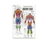 Arte de anatomía humana, cuadro pared médica, póster Vintage esqueleto muscular, lienzo nórdico, pintura educativa, decoración moderna(PC 20215,30X40cm No Frame)