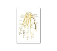 Arte de anatomía humana dorada, arte pared médica, póster Vintage esqueleto muscular, lienzo nórdico, pintura educativa, decoración moderna(8,13X18cm unframed)