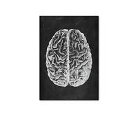 Arte de anatomía humana imagen pared médica esqueleto órgano músculo sistema Vintage póster lienzo impresión cuerpo educación pintura(Picture E,20x25cm No Frame)