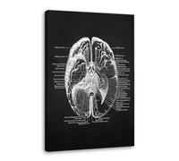 Arte de anatomía humana - Póster médico de pared con esqueleto muscular, clásico, lona nórdico, pintura educativa, decoración de pared (SKU8,14 x 20 pulgadas = (40 x 50 cm), enmarcado (lona envuelto))