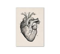 Arte de anatomía humana Vintage, cartel esqueleto muscular médico, pintura en lienzo, impresión artística, decoración pared for habitación farmacia Hospital(13,A3 30x42cm No Frame)