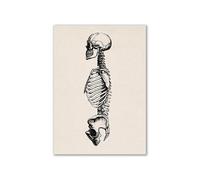 Arte de anatomía humana Vintage, cartel esqueleto muscular médico, pintura en lienzo, impresión artística, decoración pared for habitación farmacia Hospital(3,A3 30x42cm No Frame)