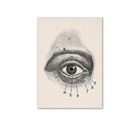 Arte de anatomía humana Vintage, cartel esqueleto muscular médico, pintura en lienzo, impresión artística, decoración pared for habitación farmacia Hospital(1,30x40cm No Frame)