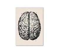 Arte de anatomía humana Vintage, cartel esqueleto muscular médico, pintura en lienzo, impresión artística, decoración pared for habitación farmacia Hospital(15,A3 30x42cm No Frame)