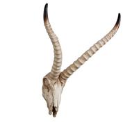 Arte de cabeza de cráneo de búfalo gigante de cuernos largos, vaquero occidental para Halloween, último rodeo, decoración de pared con accesorios de vaca sagrada(D)