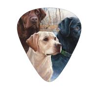Arte de cachorro de perro labrador retriever,12 púas de guitarra, 3 grosores diferentes para guitarra acústica, bajo y ukelele