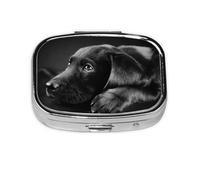 Arte De Cachorro Labrador Negro, Pastillero cuadrado para bolsillo o monedero, pequeño contenedor de pastillas, organizador de pastillas de viaje