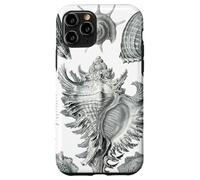 Arte de dibujo científico vintage con conchas marinas Carcasa para iPhone 11 Pro