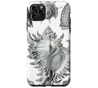 Arte de dibujo científico vintage con conchas marinas Carcasa para iPhone 11 Pro Max
