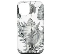 Arte de dibujo científico vintage con conchas marinas Carcasa para iPhone 12/12 Pro