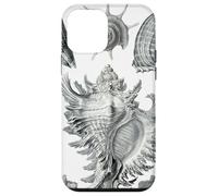 Arte de dibujo científico vintage con conchas marinas Carcasa para iPhone 12 mini