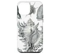 Arte de dibujo científico vintage con conchas marinas Carcasa para iPhone 12 Pro Max